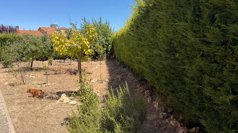 Foto 4 de Casa o xalet en venda a Magaz de Pisuerga, Palencia