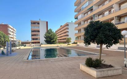 Piscina de Apartament en venda en Torrevieja amb Terrassa i Piscina comunitària