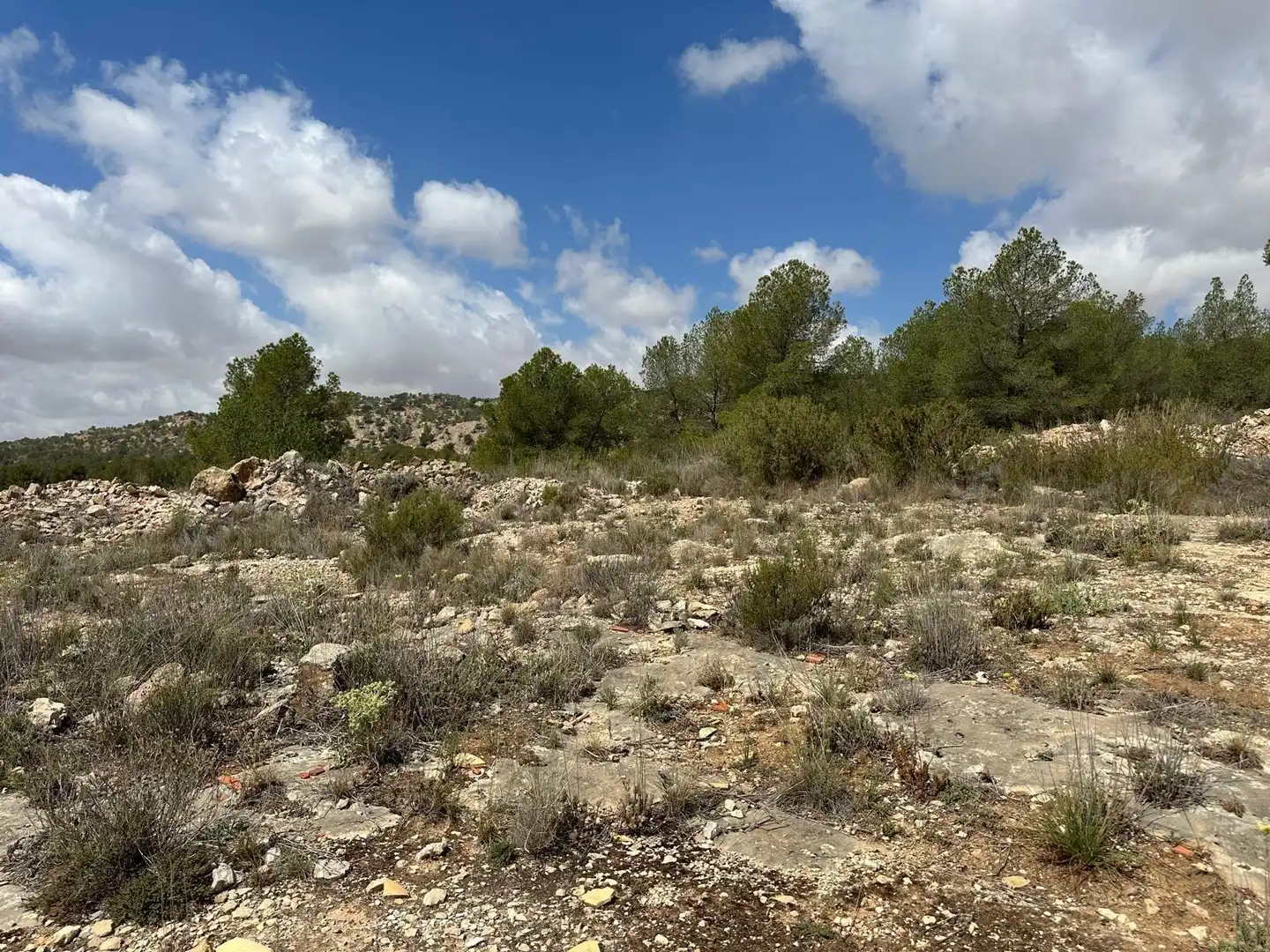 House for sale in Monóvar  / Monòver, imagen 17