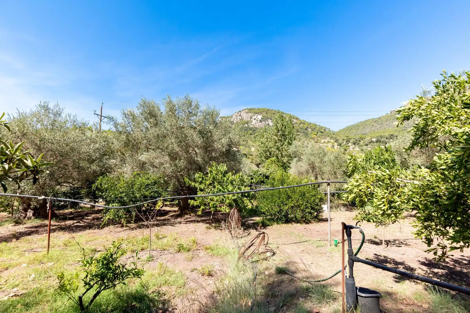 Casa rustica con piscina in vendita a Esporles, imagen 31