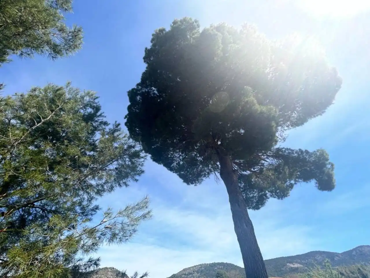 Chalet con jardín en venta en Calle Poligono, imagen 140