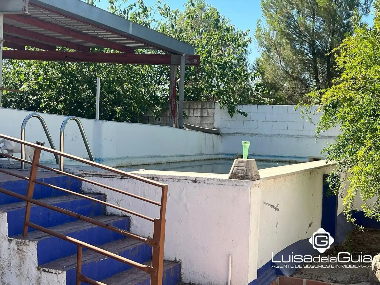Terreno rustico in vendita a Concepción, imagen 6