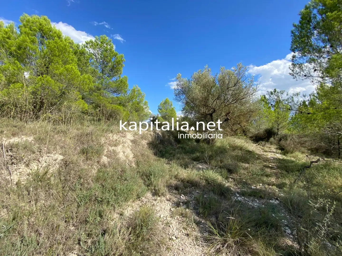 Terreno en venta en Millena
