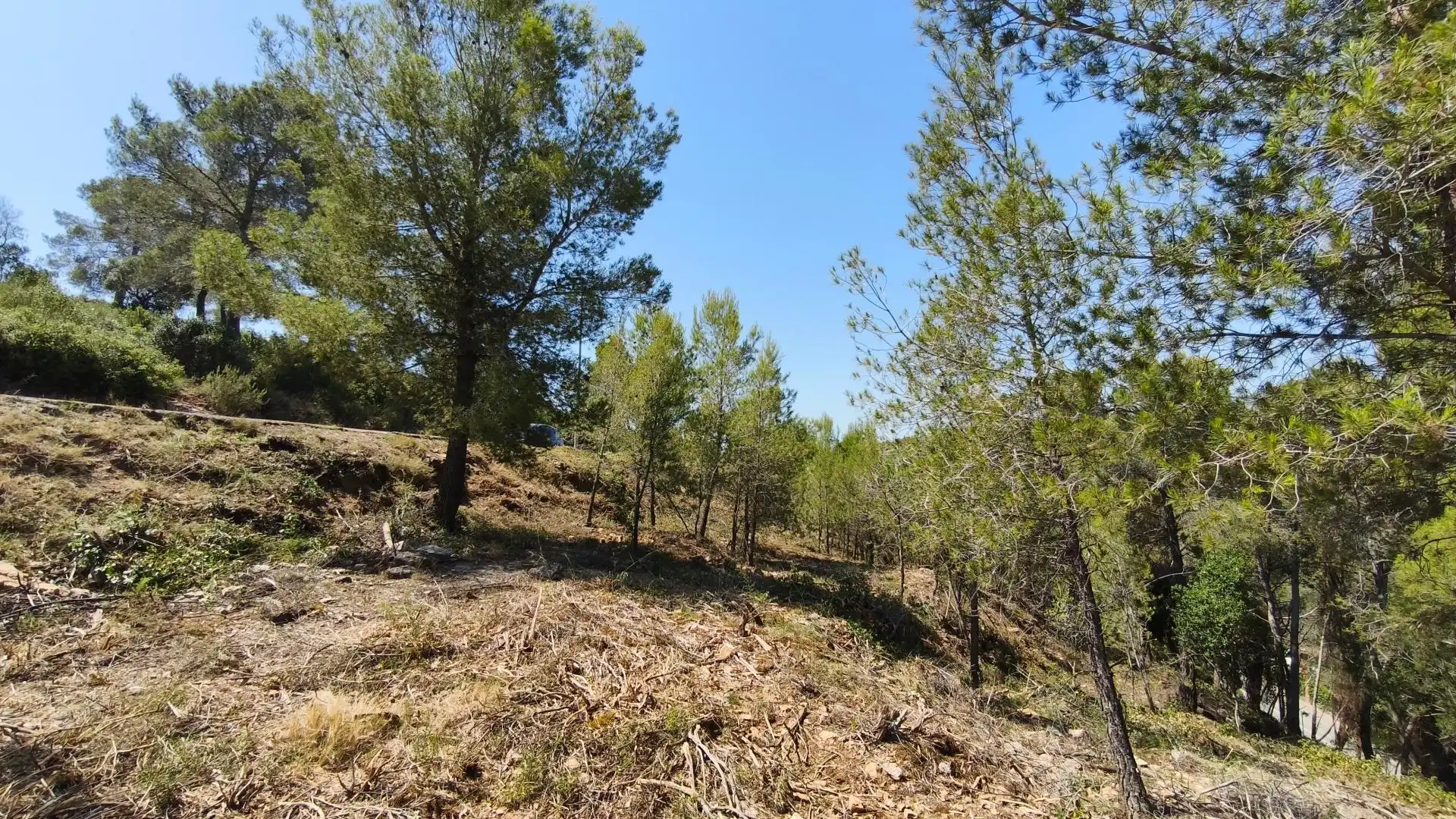 Wohnbaugrundstück zum Verkauf in Cervelló, imagen 12