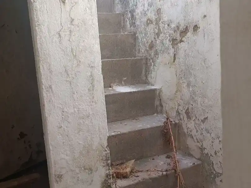 Planta baja en venta en Benalup-Casas Viejas