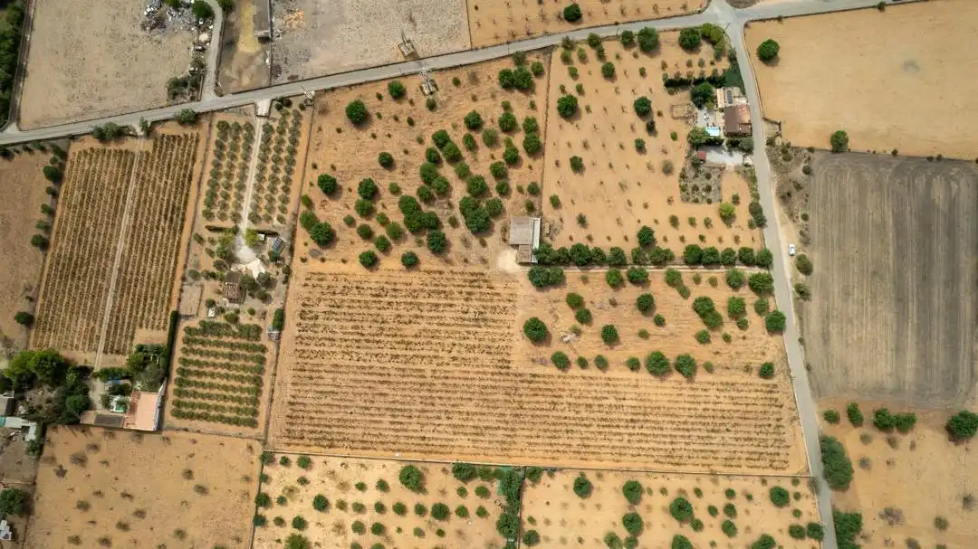 Land for sale in Consell