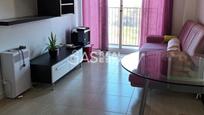 Living room of Study for sale in  Murcia Capital