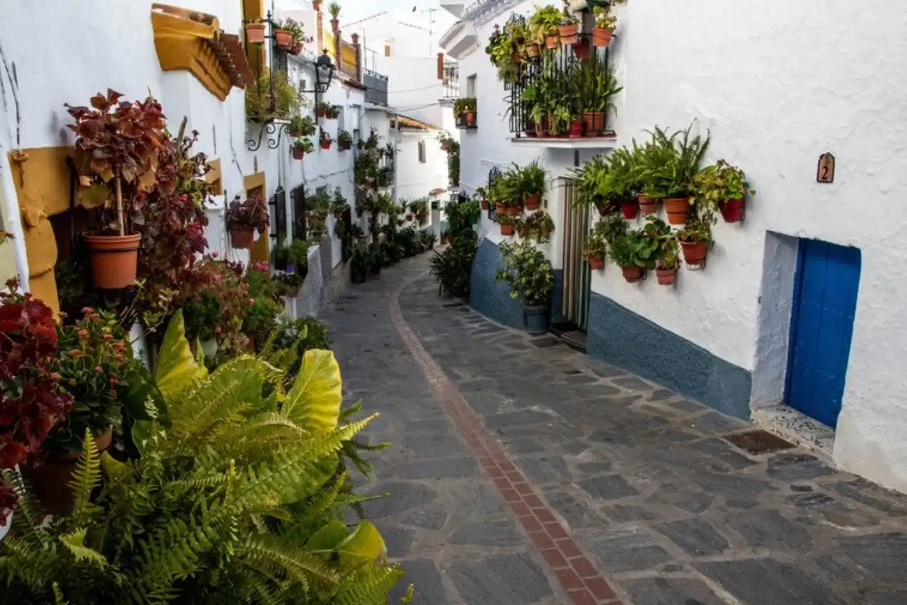 Vista exterior de Casa adosada en venta en Canillas de Aceituno