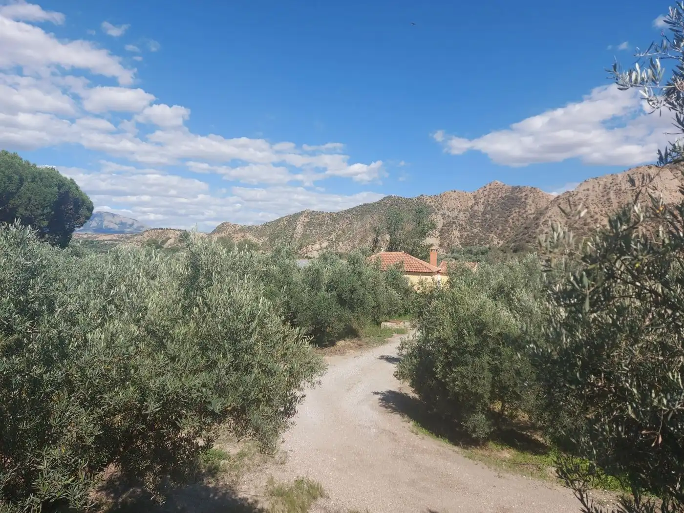 Casa rústica en venda a Guadix, imagen 6