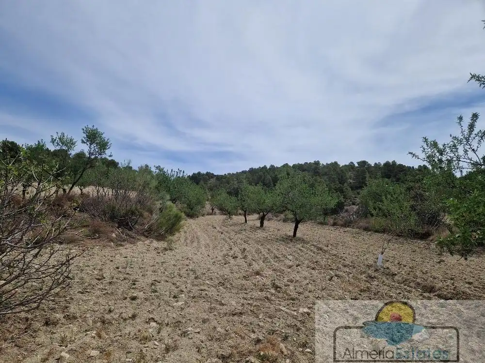Country house for sale in Albox, imagen 8