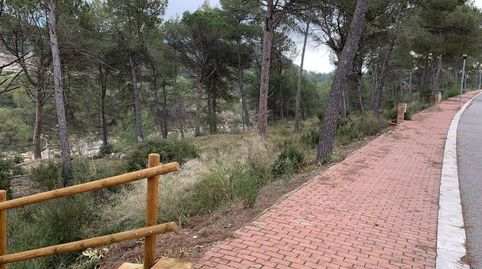 TERRENY A ELS PINYARETS, CASTELLOLÍ, immagine 2