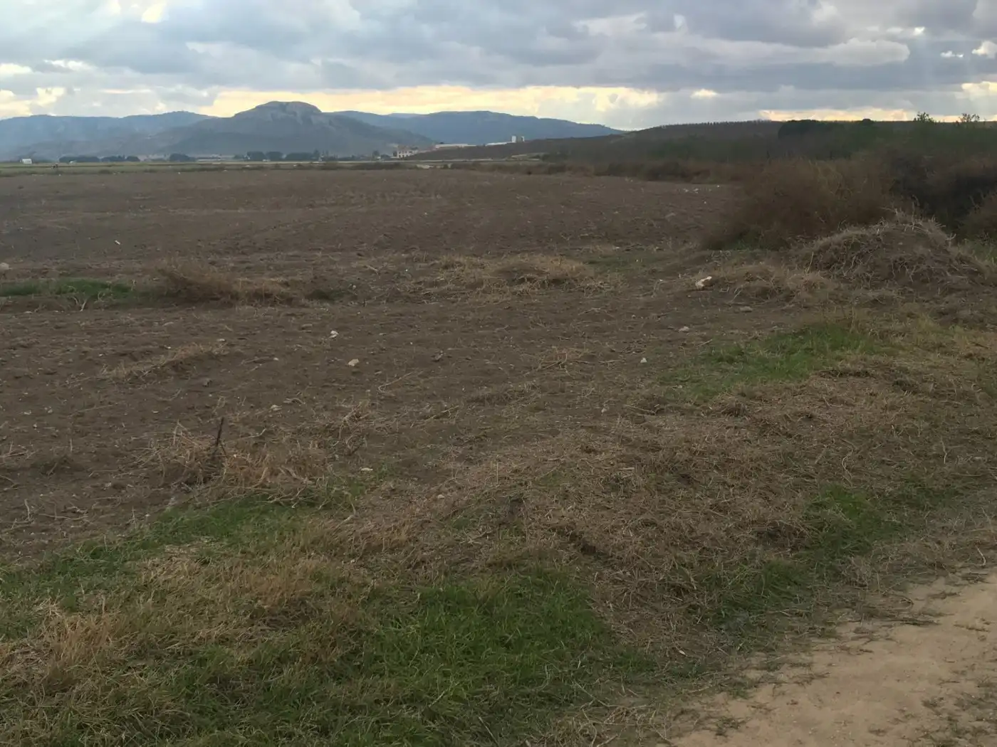 Grundstücke zum Verkauf in Villena