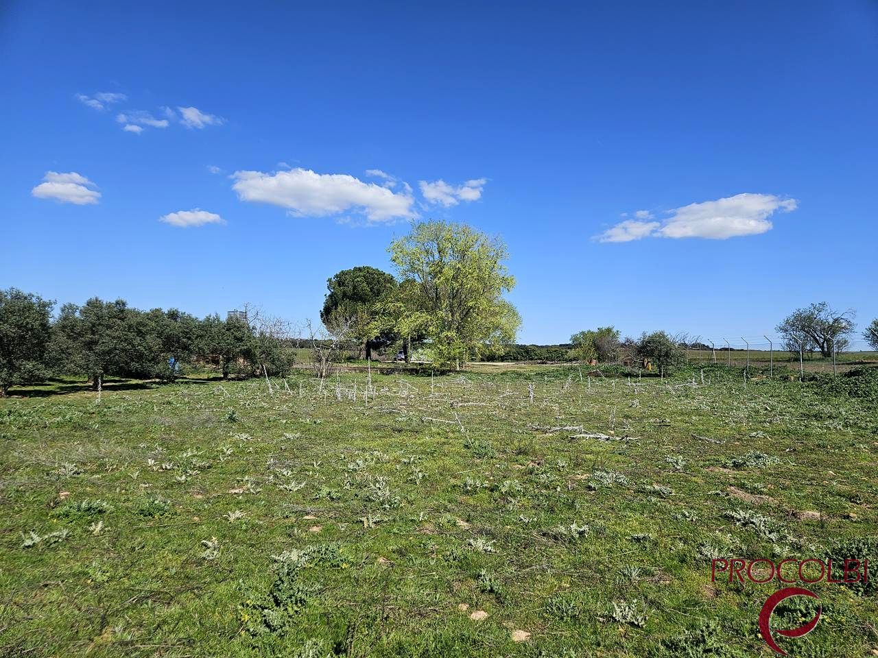 Land for sale in Valdeolmos-Alalpardo