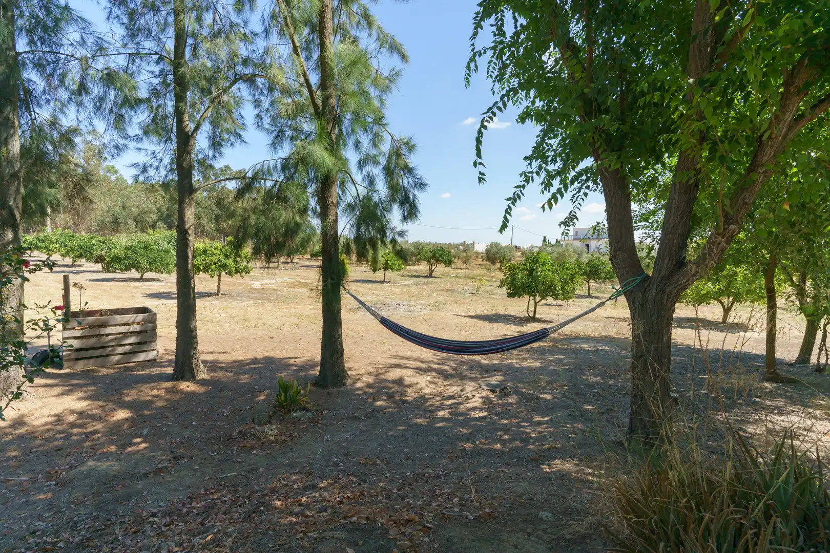 Finca rústica en venta en La Palma del Condado con Jardín privado, Terraza y Piscina