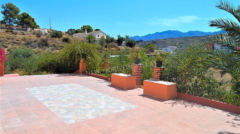 Foto 3 de Finca rústica en venta en Callejón de la Fuente, Los Gallardos, Almería