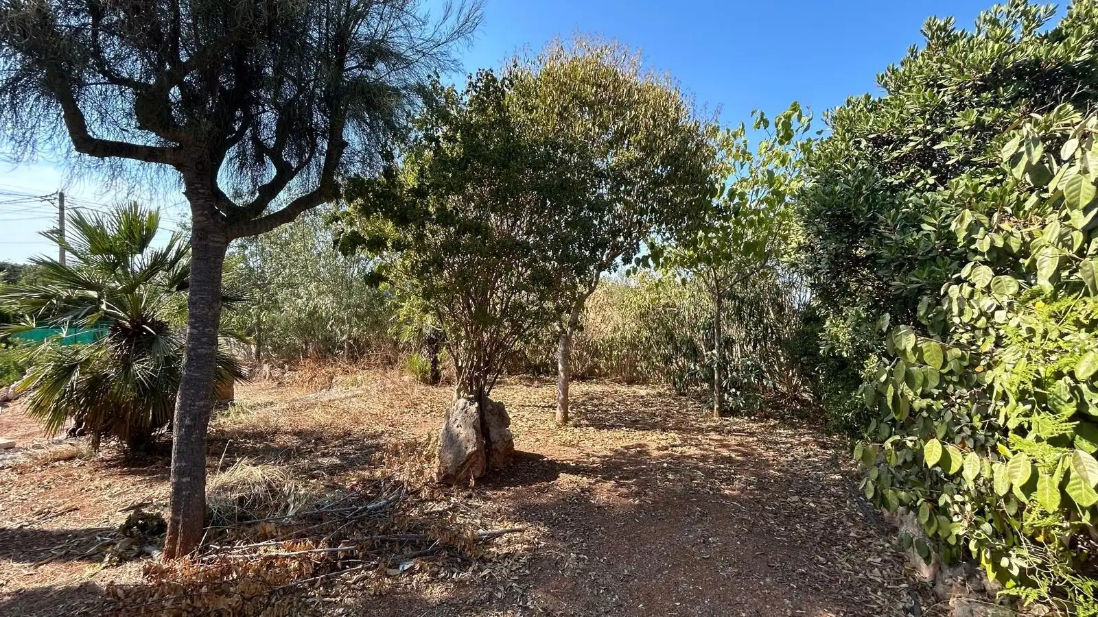 Residencial en venda en Marratxí