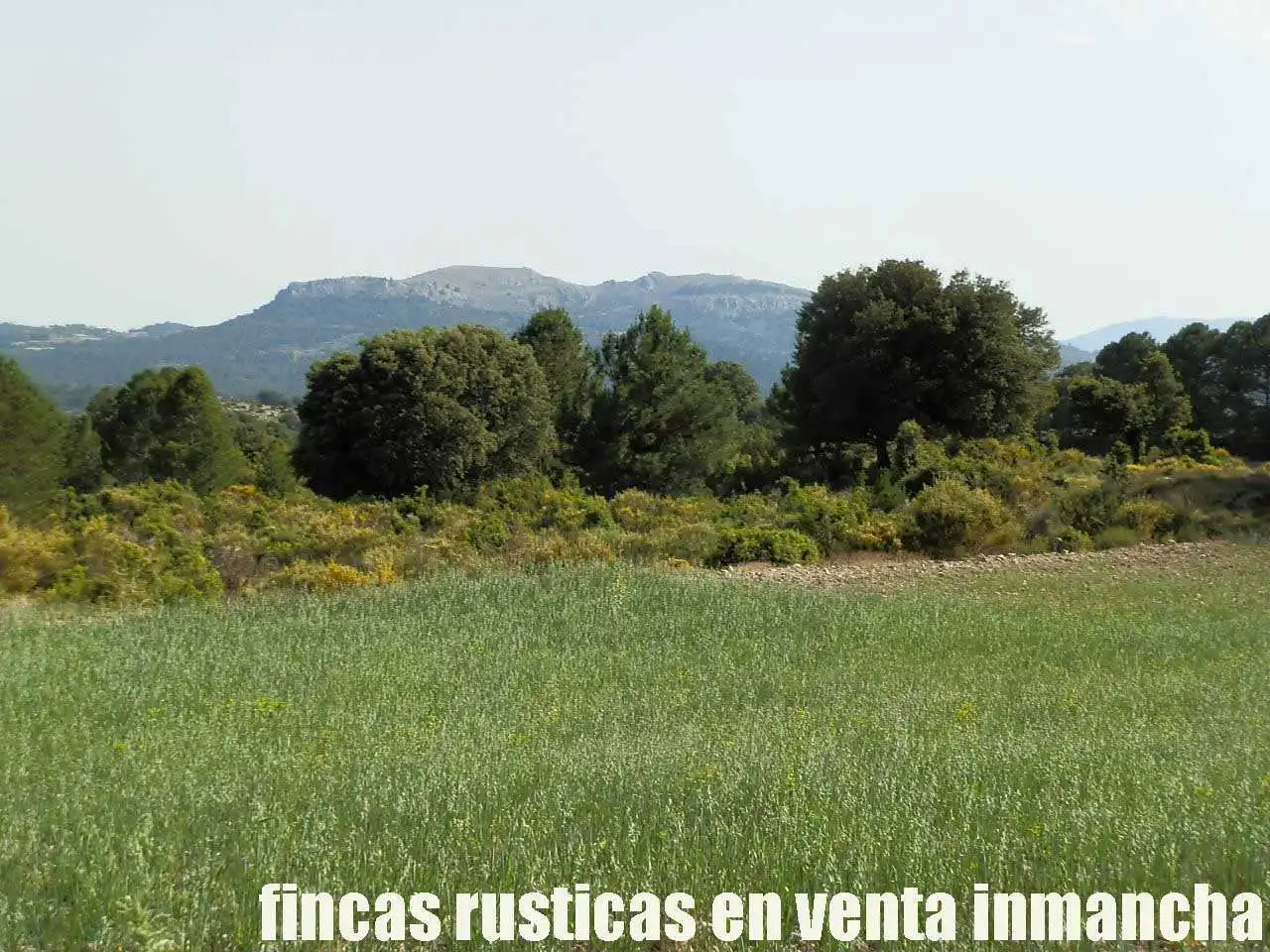 Terreno rustico in vendita a Caravaca de la Cruz, imagen 3