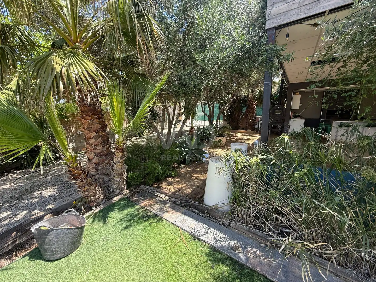 Land for sale in El Pino