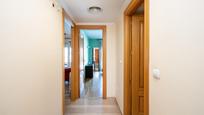 Apartment to rent in San Francisco Javier, imagen 3