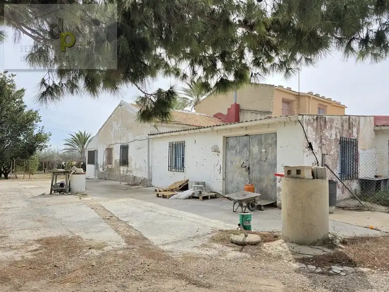 Vista exterior de Casa o xalet en venda en Elche / Elx amb Jardí privat, Terrassa i Traster