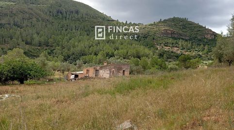 Finca Extensa en Els Ports Masía, Caseta y Proyecto de Camping, imatge 5