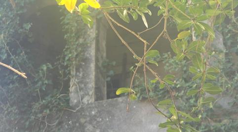 Foto 4 de Residencial en venta en Carrer D'enric Lluís Roura, Poble, Calonge i Sant Antoni