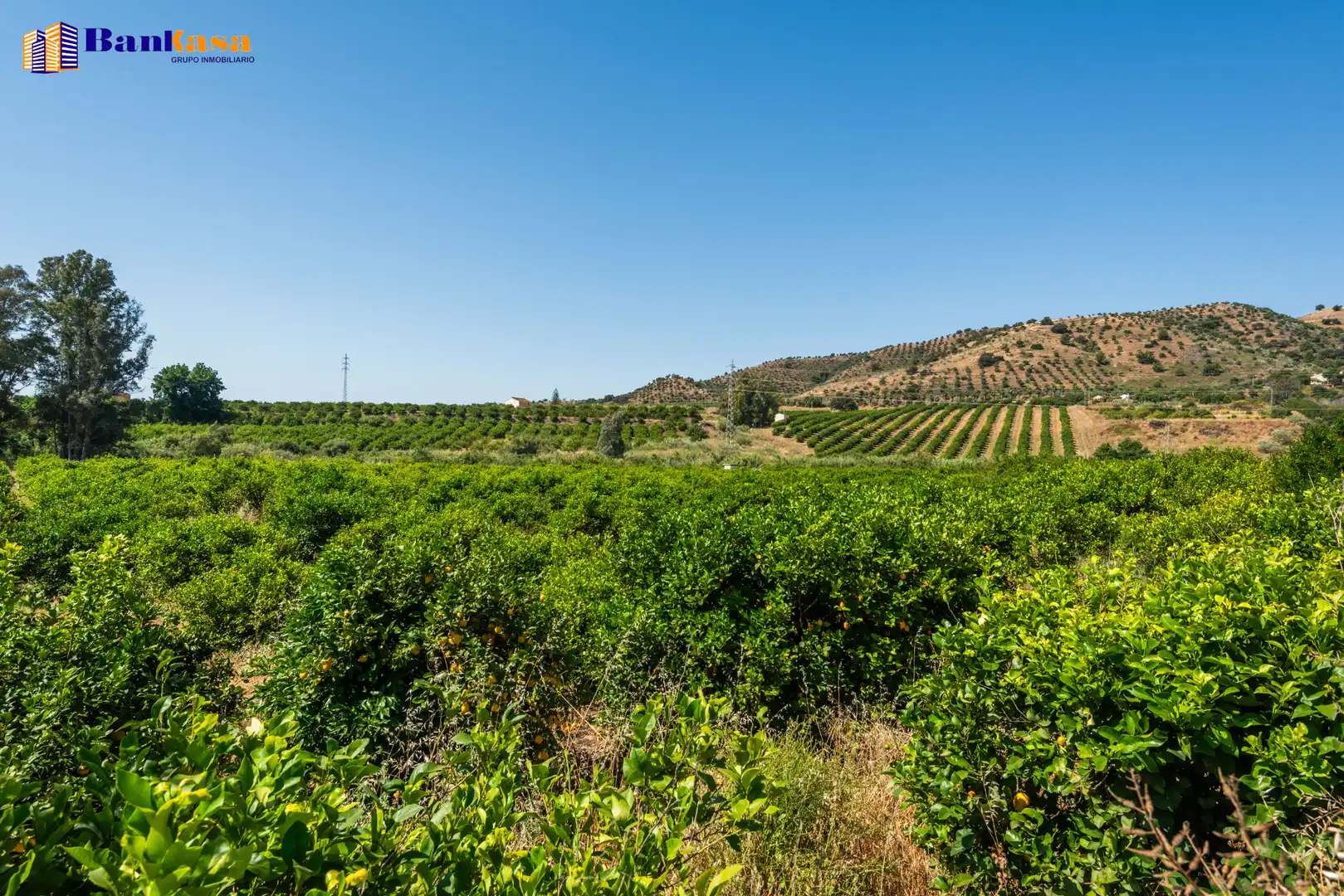 Terreno en venta en Pizarra