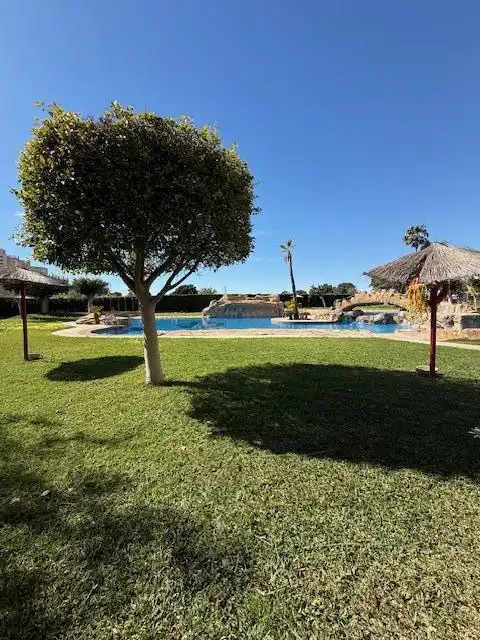 Swimming pool of Flat for rent in El Campello  with Air Conditioner, Terrace and Furnished