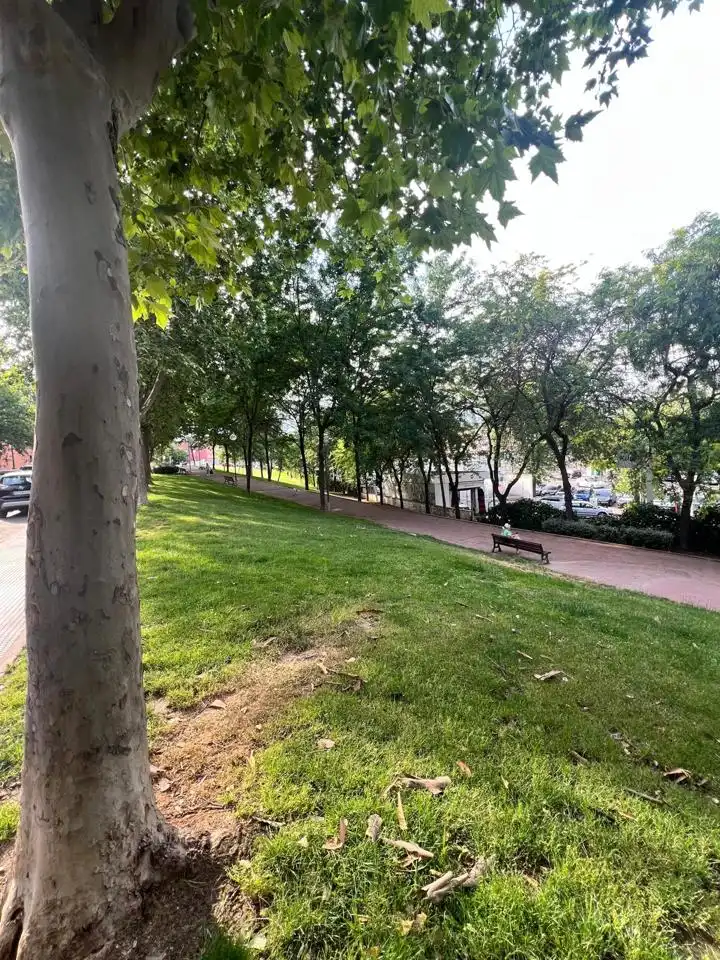 Vista exterior de Pis en venda en Alcobendas amb Aire condicionat, Calefacció i Terrassa