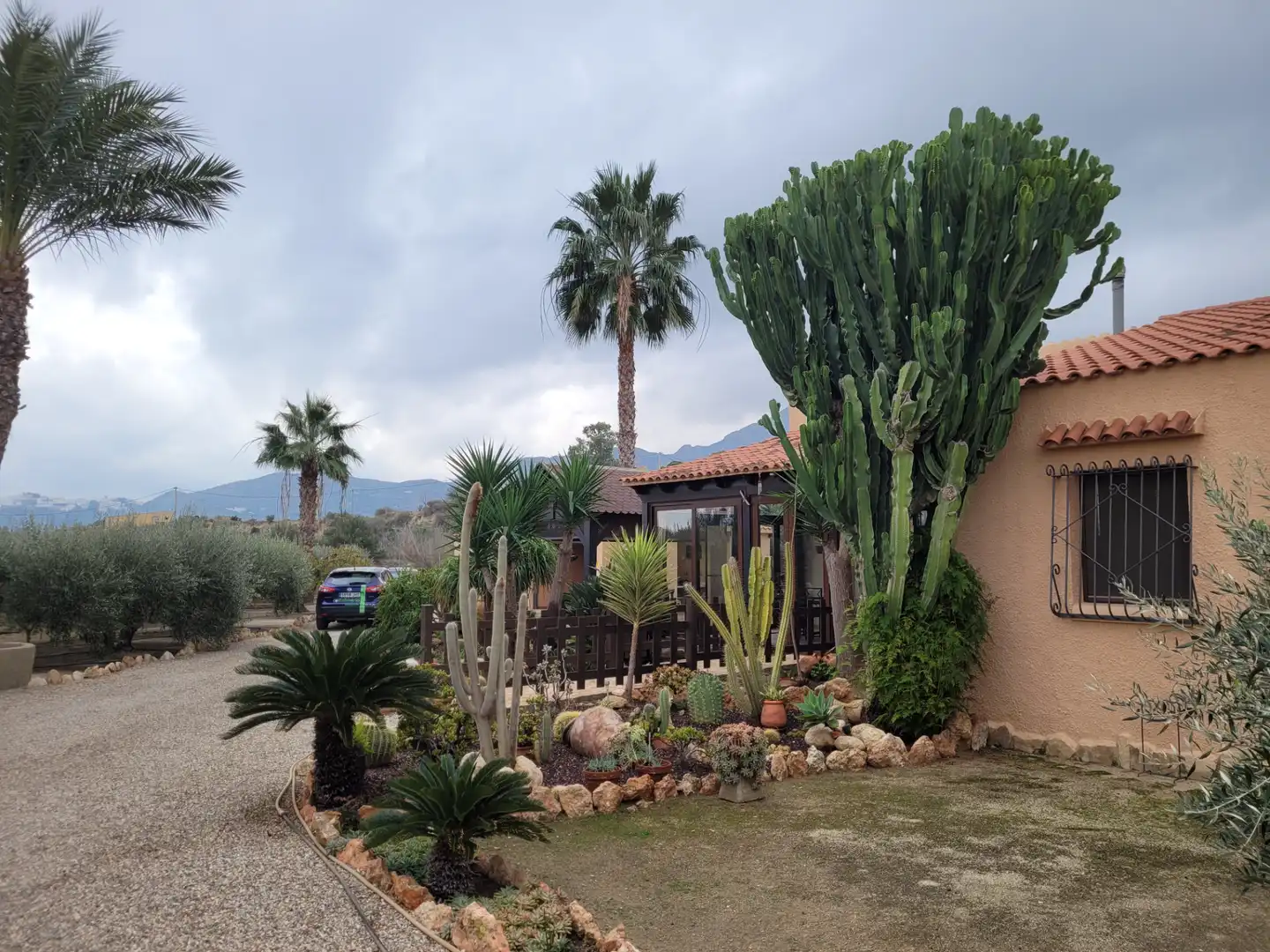 Garden of Detached homes for sale in Mojácar  with Air Conditioner, Heating and Private garden