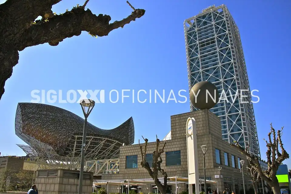 Oficina de lloguer a SELVA, imagen 2