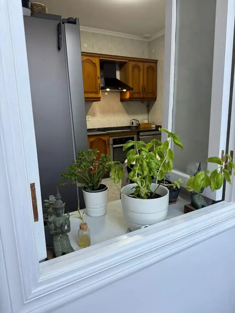 Piso con terraza en venta en Centro Histórico, imagen 6