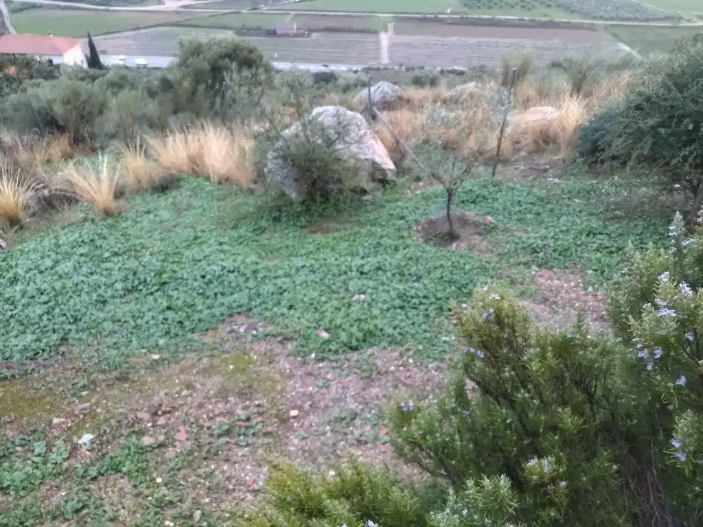 Casa o xalet en venda en Medellín amb Aire condicionat, Calefacció i Jardí privat