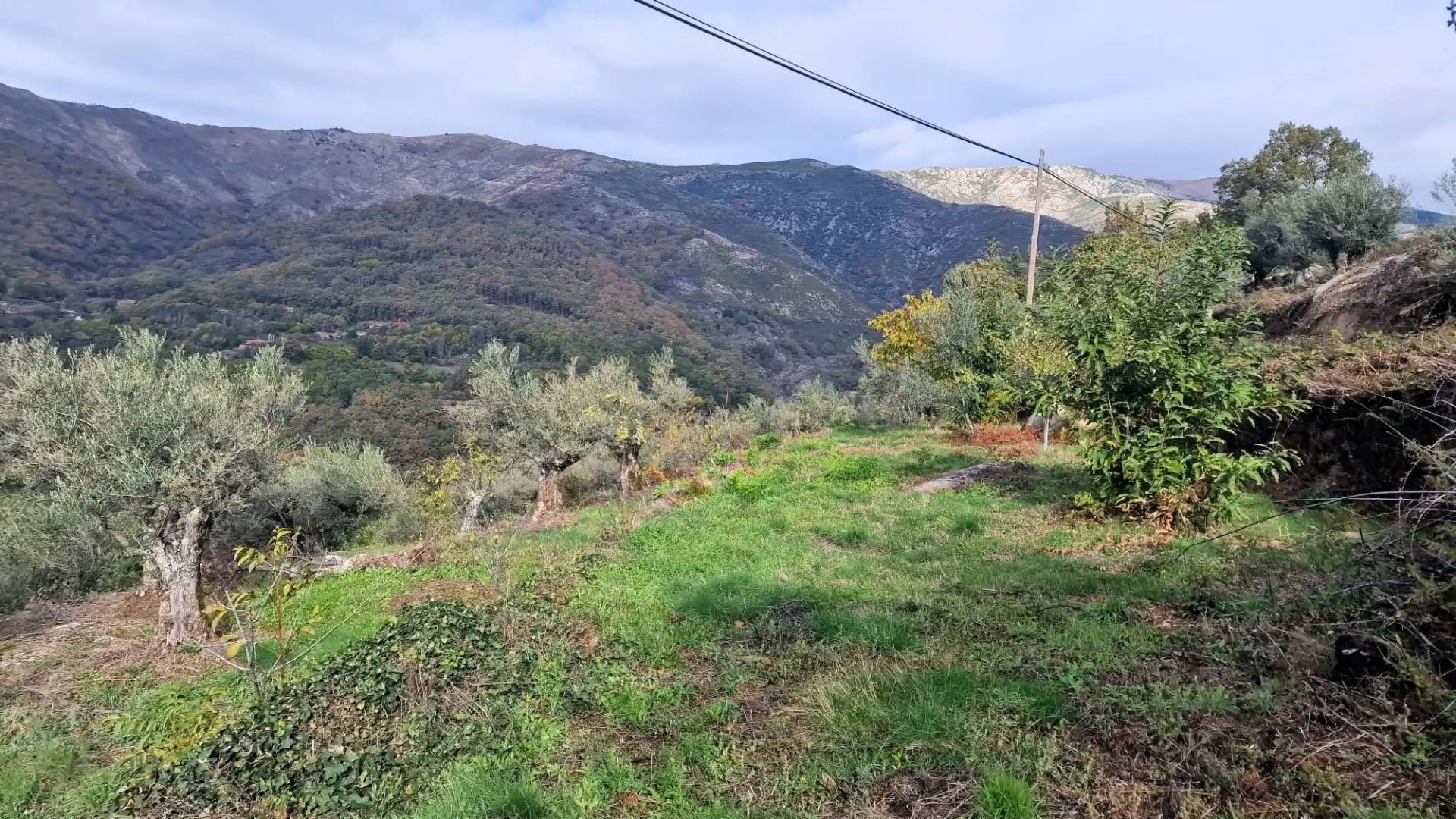 Terreno en venta en Guijo de Santa Bárbara