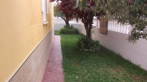 Foto 4 de Planta baja de alquiler en Avinguda Borrons, 67, Xeraco, Valencia