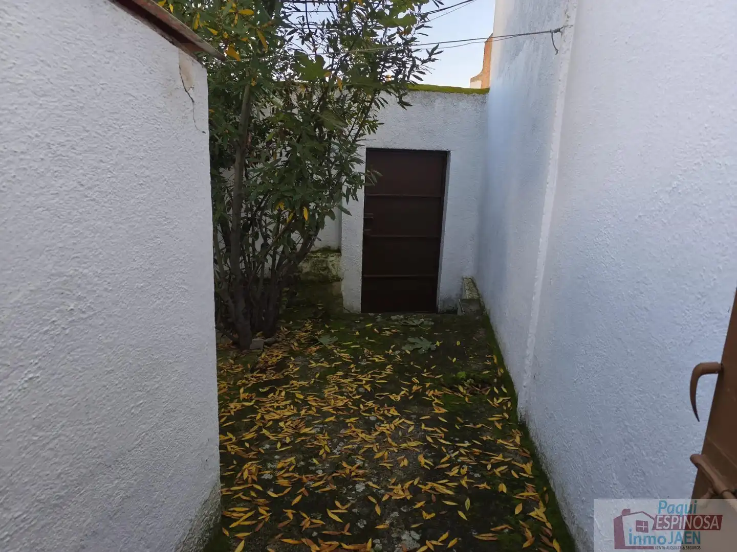 Jardín de Casa o chalet en venta en Villardompardo