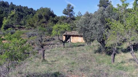 Foto 3 de Finca rústica en venda a Beceite, Teruel