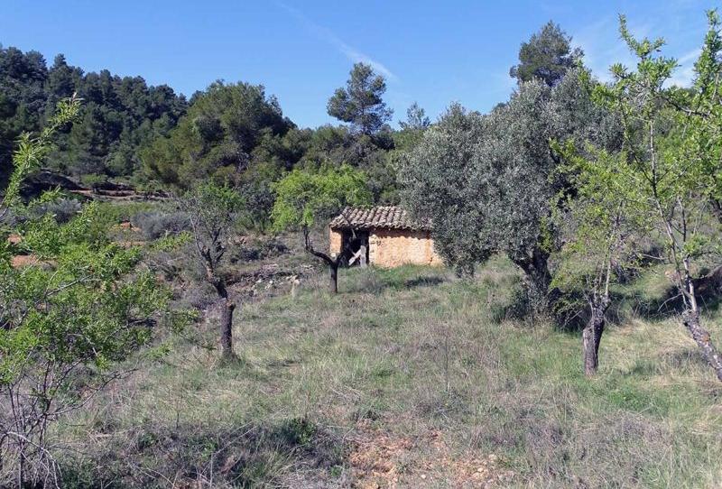 Foto 1 de Finca rústica en venta en Beceite, Teruel