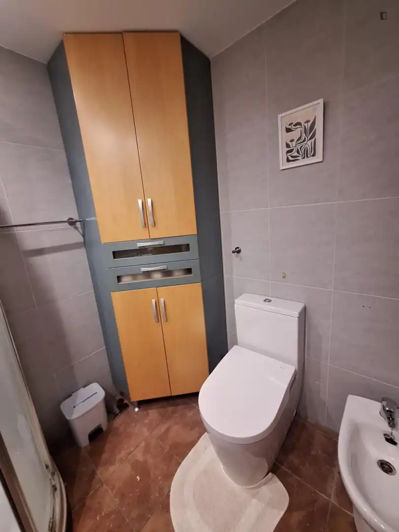 Baño de Apartamento de alquiler en Moncada con Amueblado, Horno y Lavadora