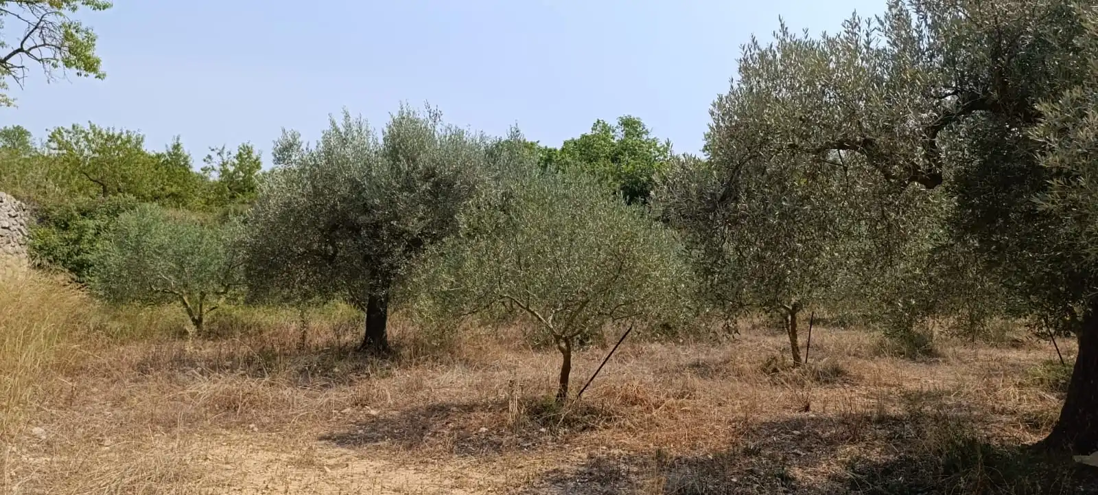 Residencial en venda en Vilalba dels Arcs