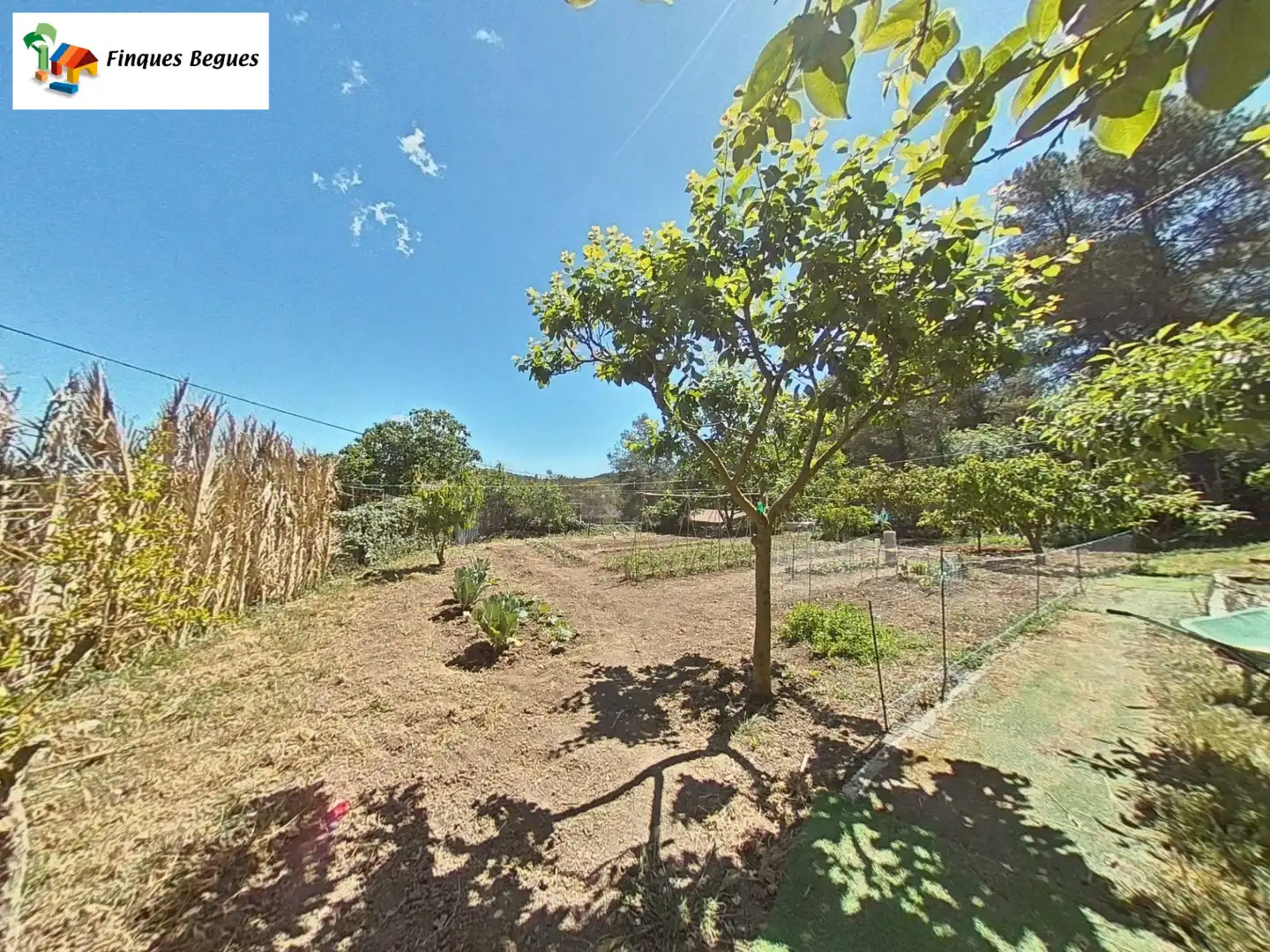 Jardí de Finca rústica en venda en Begues amb Calefacció, Jardí privat i Moblat