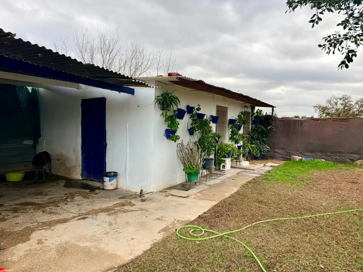 Vista exterior de Casa o chalet en venta en Carmona con Aire acondicionado, Jardín privado y Trastero