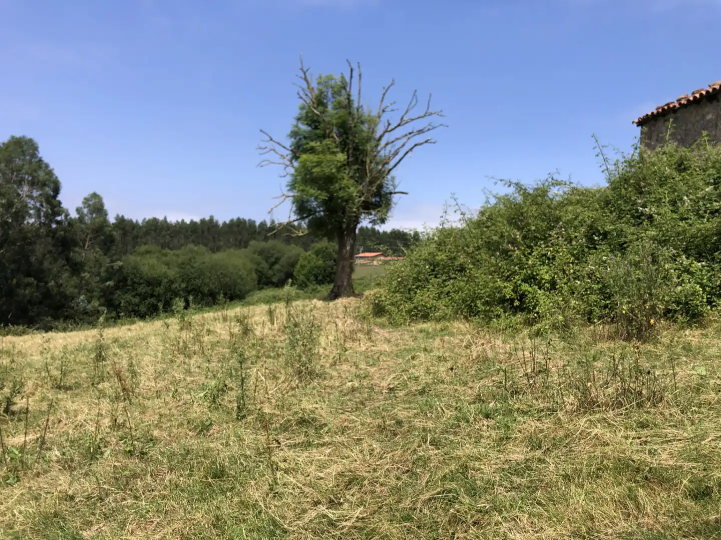 Finca rústica en venta en N/A, -1, Villaescusa (Cantabria)