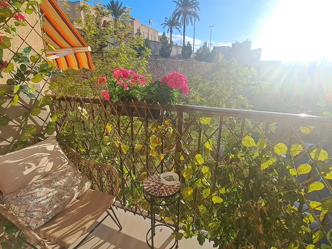 Piso con ascensor en venta en Calle Jaime María Buch 2