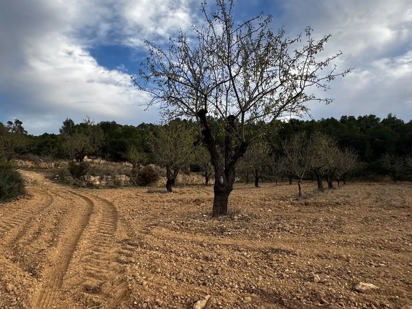 Terreni e lotti in vendita a Alcañiz, imagen 7