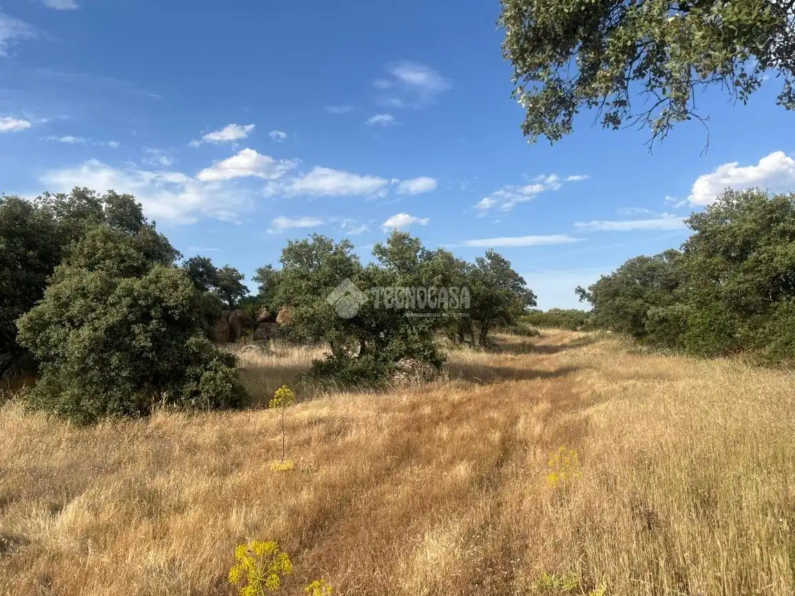 Terreno en venta en Santa Ana de Pusa