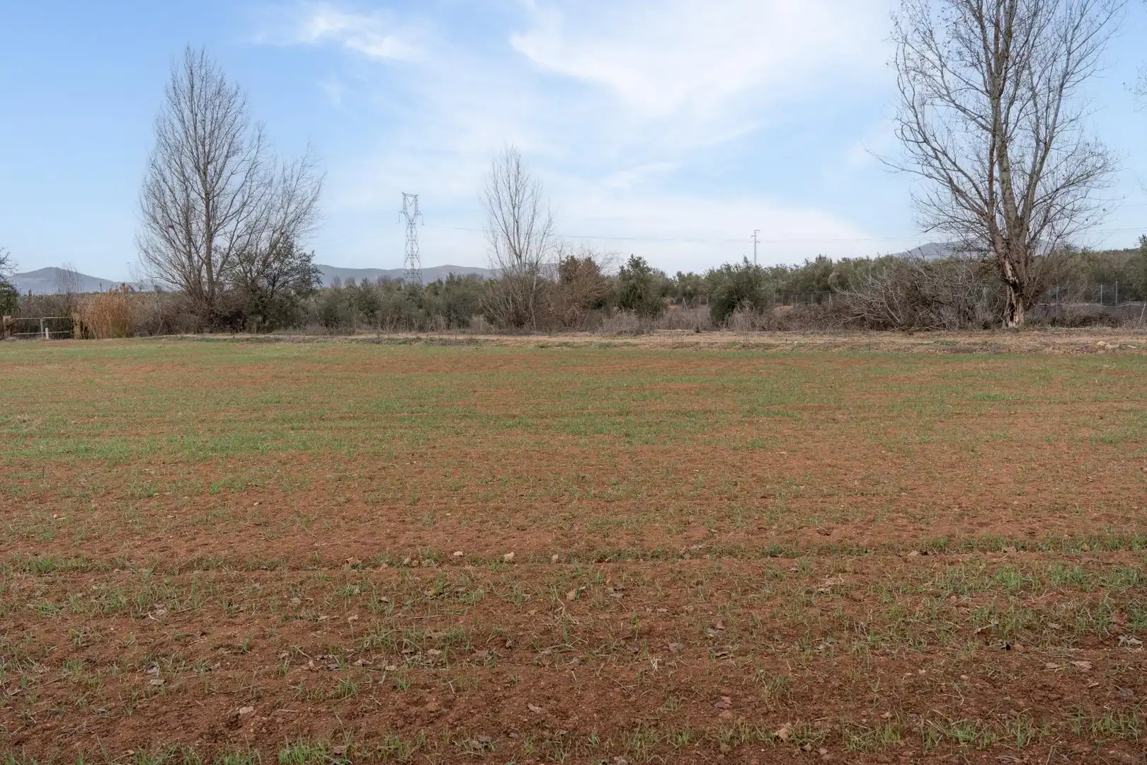 Terrenys i solars en venda a Polígono 23 Parcela 63 LA ZANJA. ALBOLOTE (GRANAD 23, imagen 25