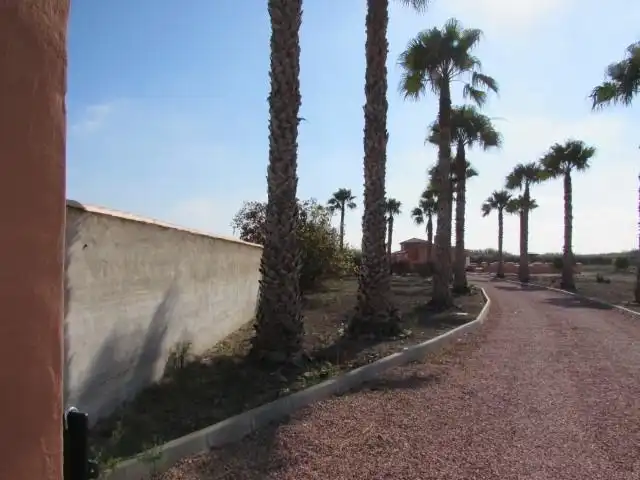Country house with pool for sale in Dolores, imagen 35