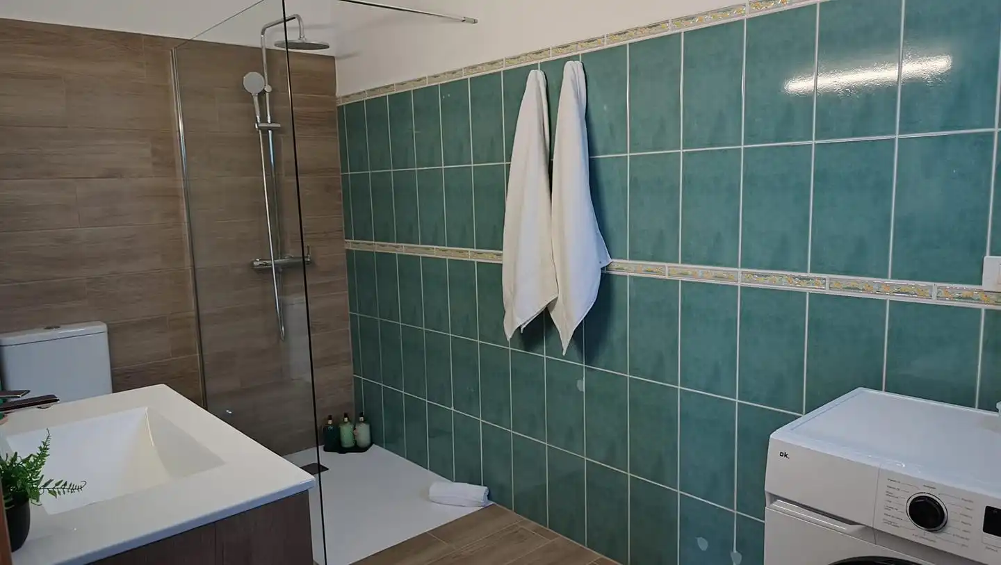 Bathroom of Country homes for rent in Guía de Isora  with Terrace and Furnished