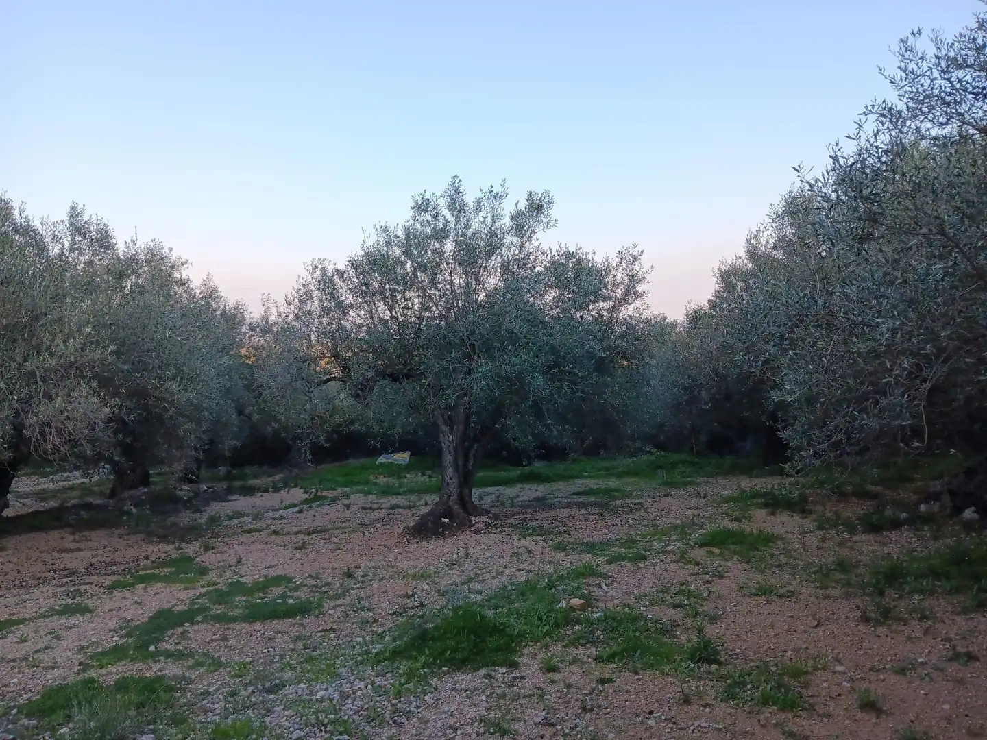 Terrenys i solars en venda a Ferreries, imagen 9